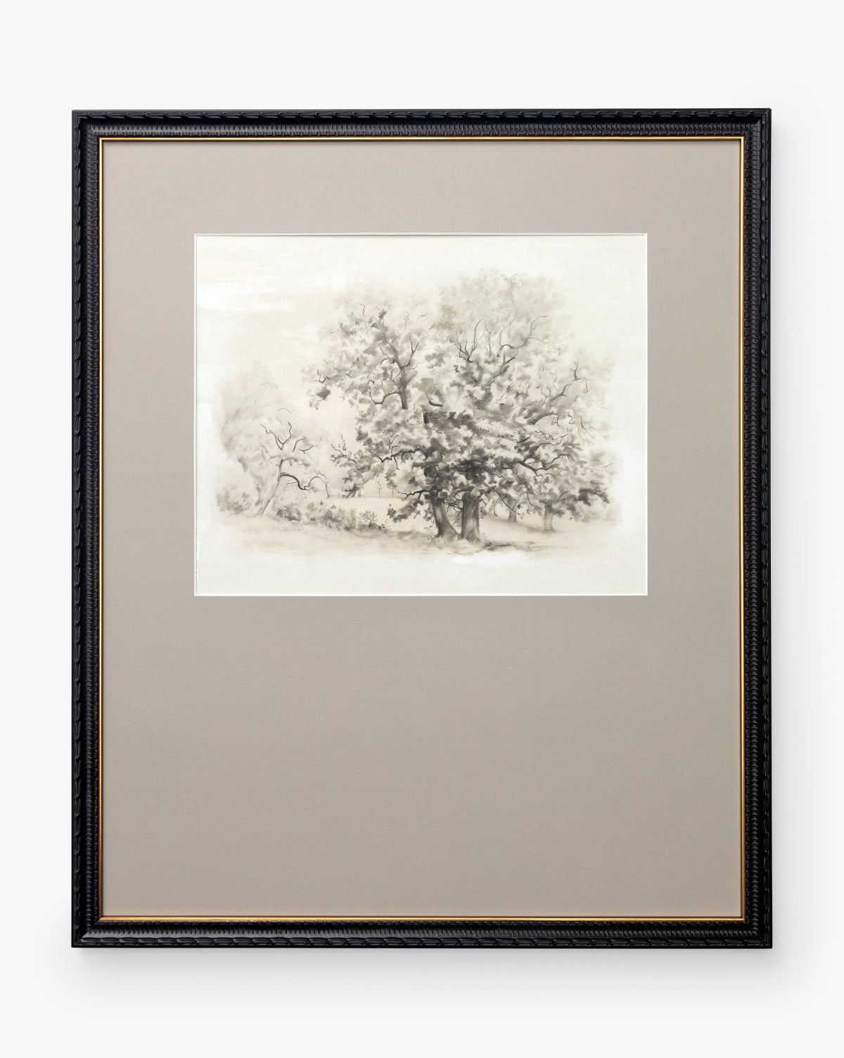 Heathland Oak