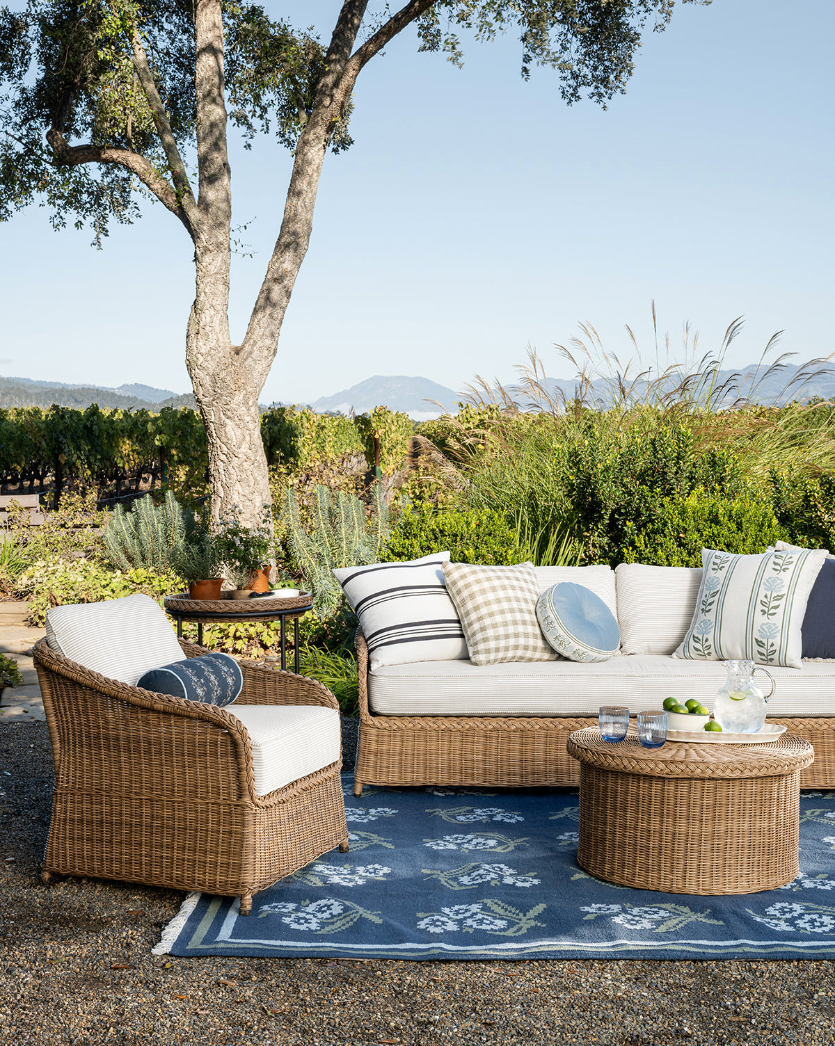 Aldridge Handwoven Indoor/Outdoor Rug